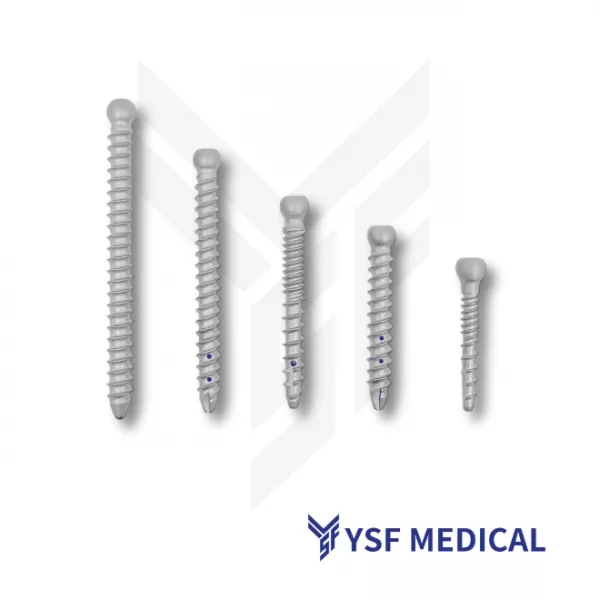 Pedicle Screws