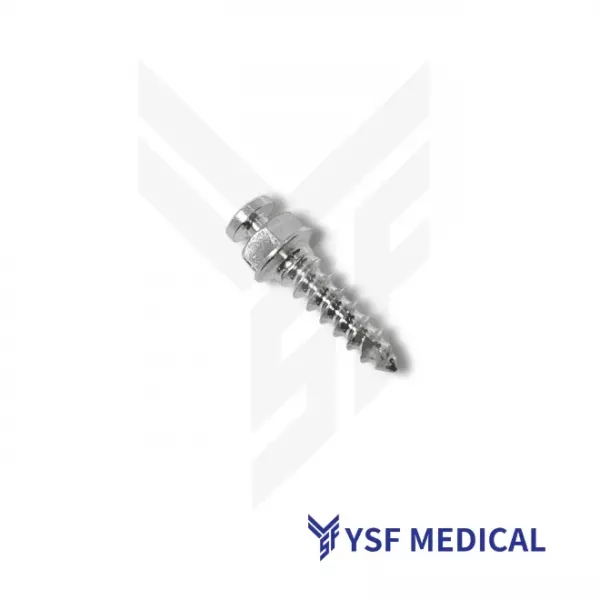 Dental Implant